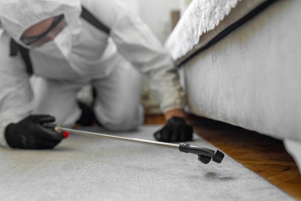 Professional Bed Bug Control technician working in Columbiana, AL