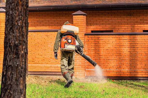 Trusted Bed Bug Control service in Columbiana, AL - Nex Pest Control